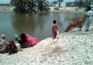 «هوتگ» بار دیگر قربانی گرفت/ کودک ۴ ساله به عنوان پنجمین قربانی هفته اخیر غرق شد